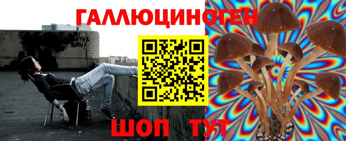 Галлюциногенные грибы мицелий  Вход с VPN  Мценск 